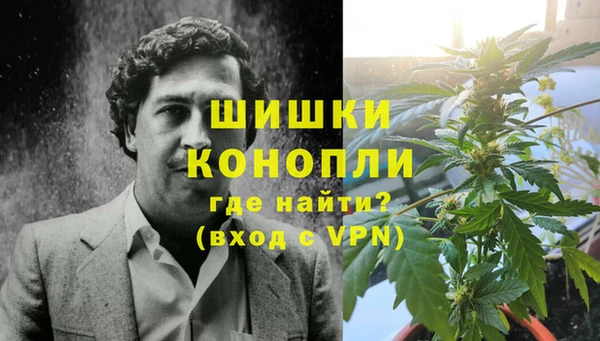 стаф Белокуриха