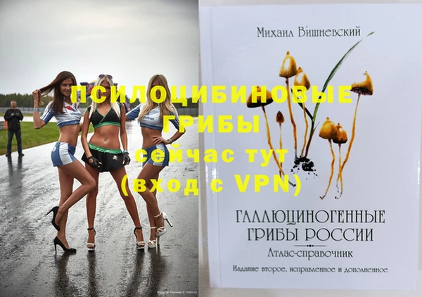 стаф Белокуриха