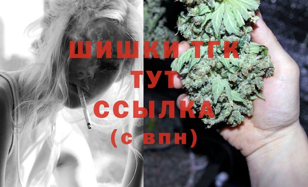 стаф Белокуриха