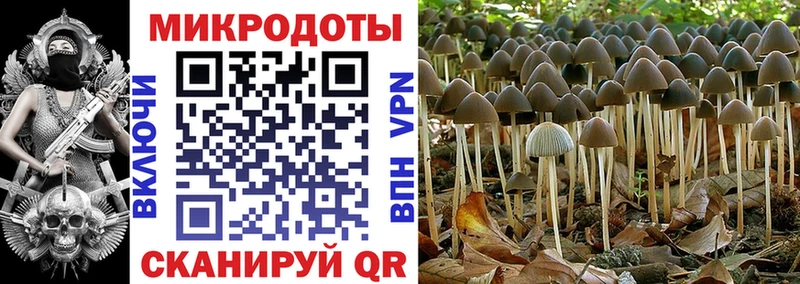 Галлюциногенные грибы мухоморы Электроугли